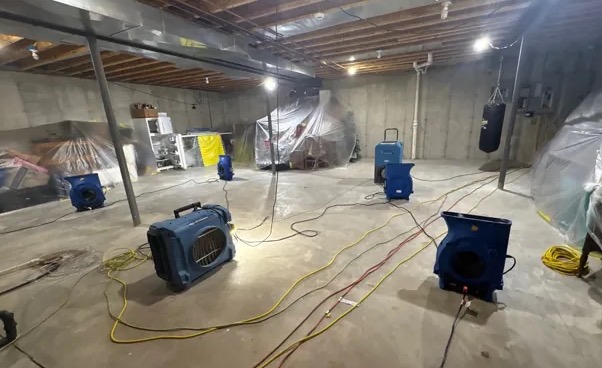 Basement Mold Cleanup in Long Beach, CA