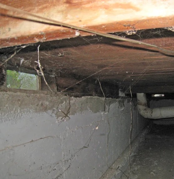 Crawl Space Mold Removal in Long Beach, CA