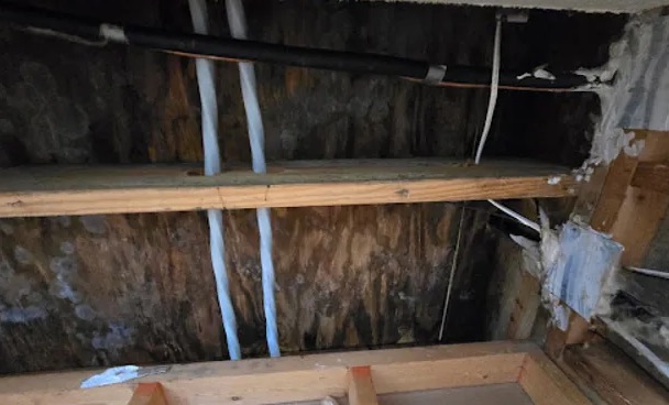 Attic Mold Remediation in Long Beach, CA
