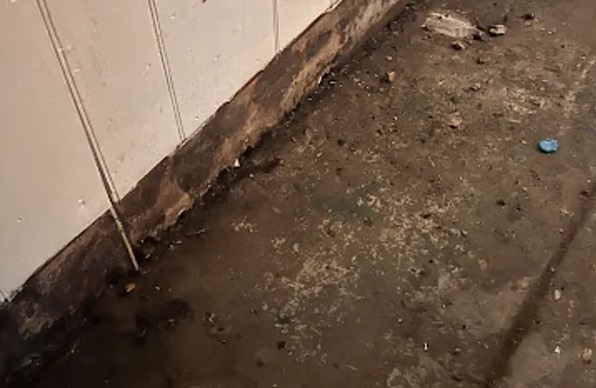 Sewage Backup Cleanup in Long Beach, CA