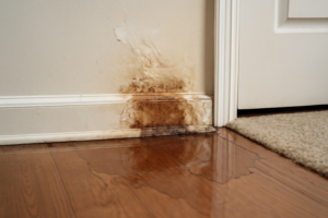 Water Leak Detection